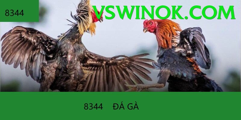 Đá Gà Trực Tiếp - Ưu đãi đặc biệt - Game 3D